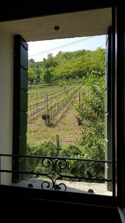 Villa Pollini Torreglia Екстериор снимка